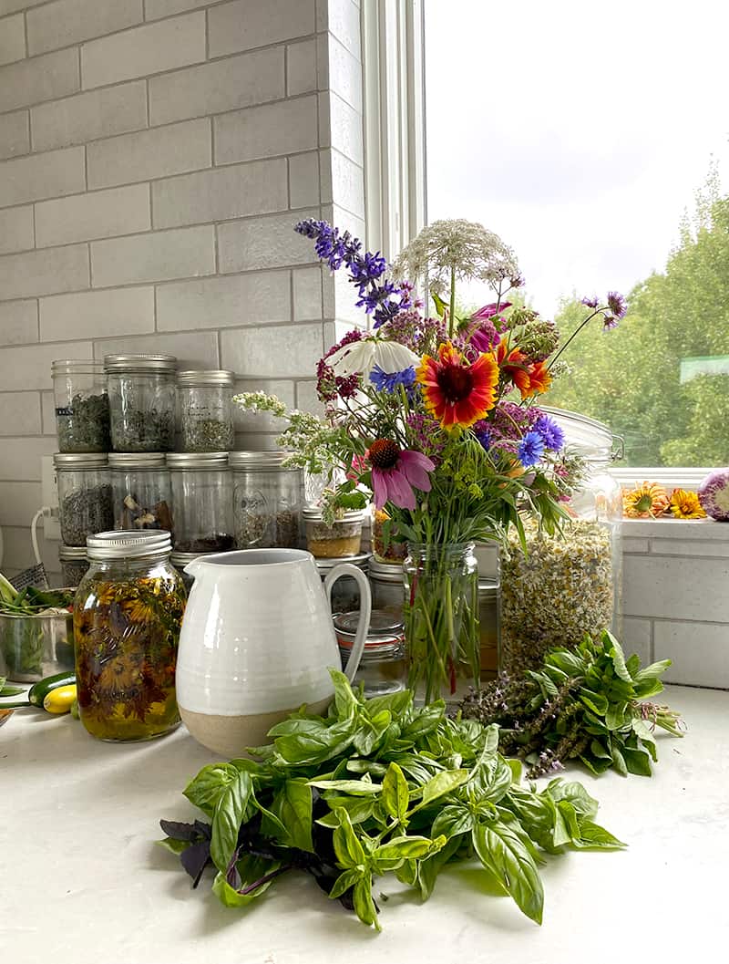 How to Dry Basil Using An Oven or Dehydrator Fresh Exchange