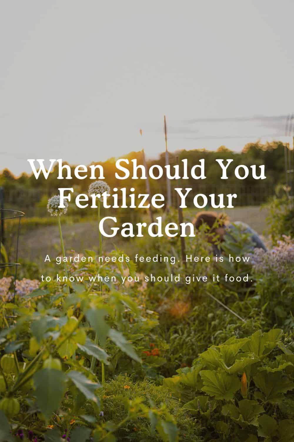 When To Fertilize Your Vegetable Garden? Fresh Exchange