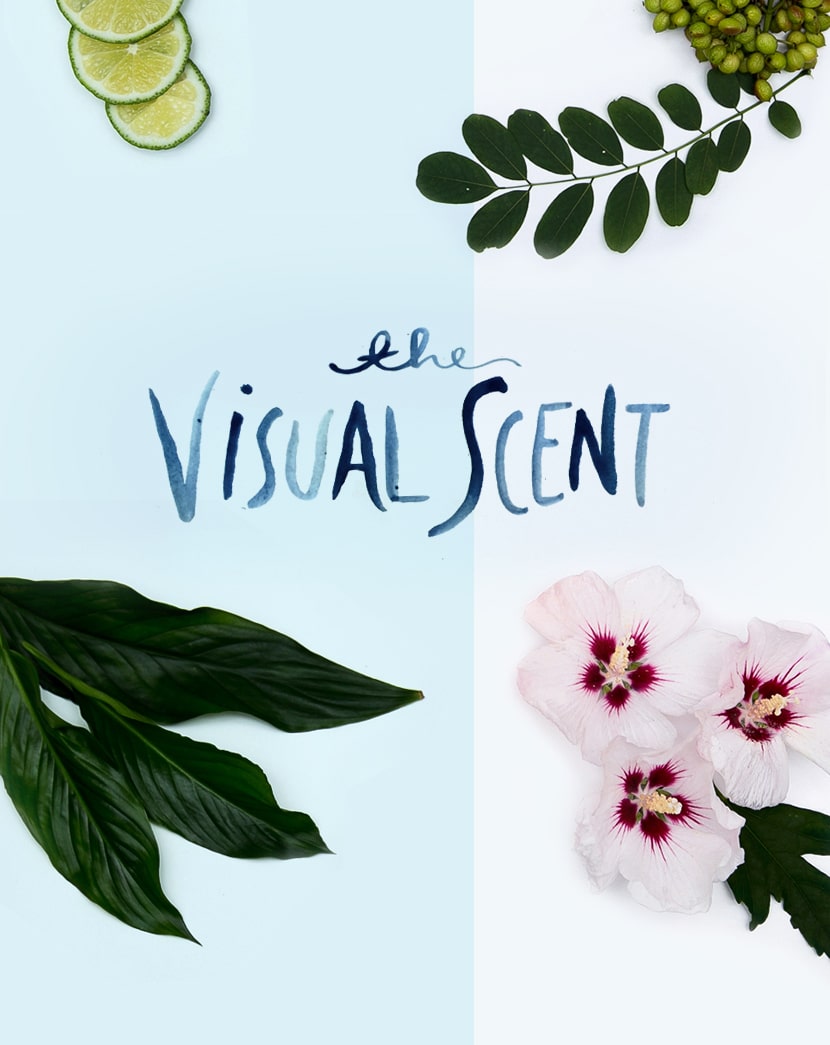 The Visual Scent in Collab with method Fresh Exchange