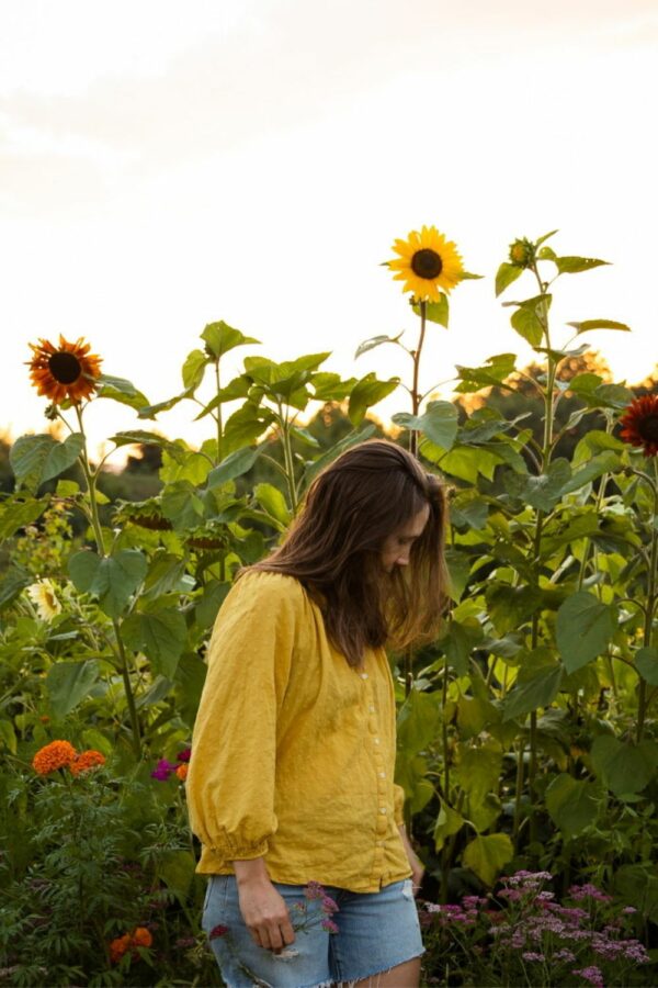 How to Grow Great Sunflowers In Your Garden Fresh Exchange