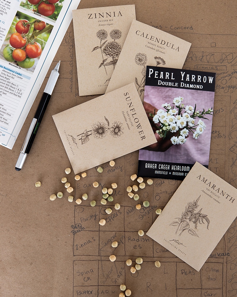 Where To Buy Seeds The Ultimate Beginners Guide Fresh Exchange