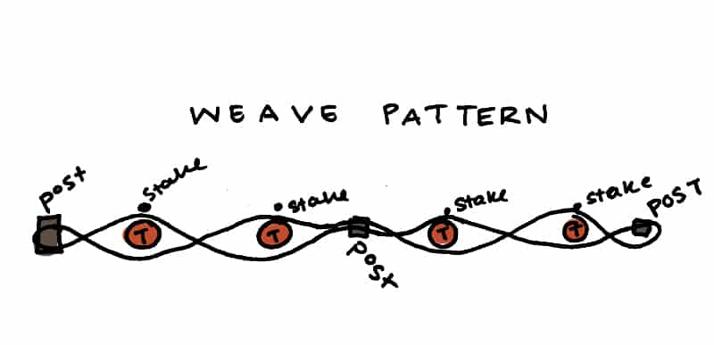 Are Tomato Cages Necessary? - The Best DIY Tomato Cages Alternative