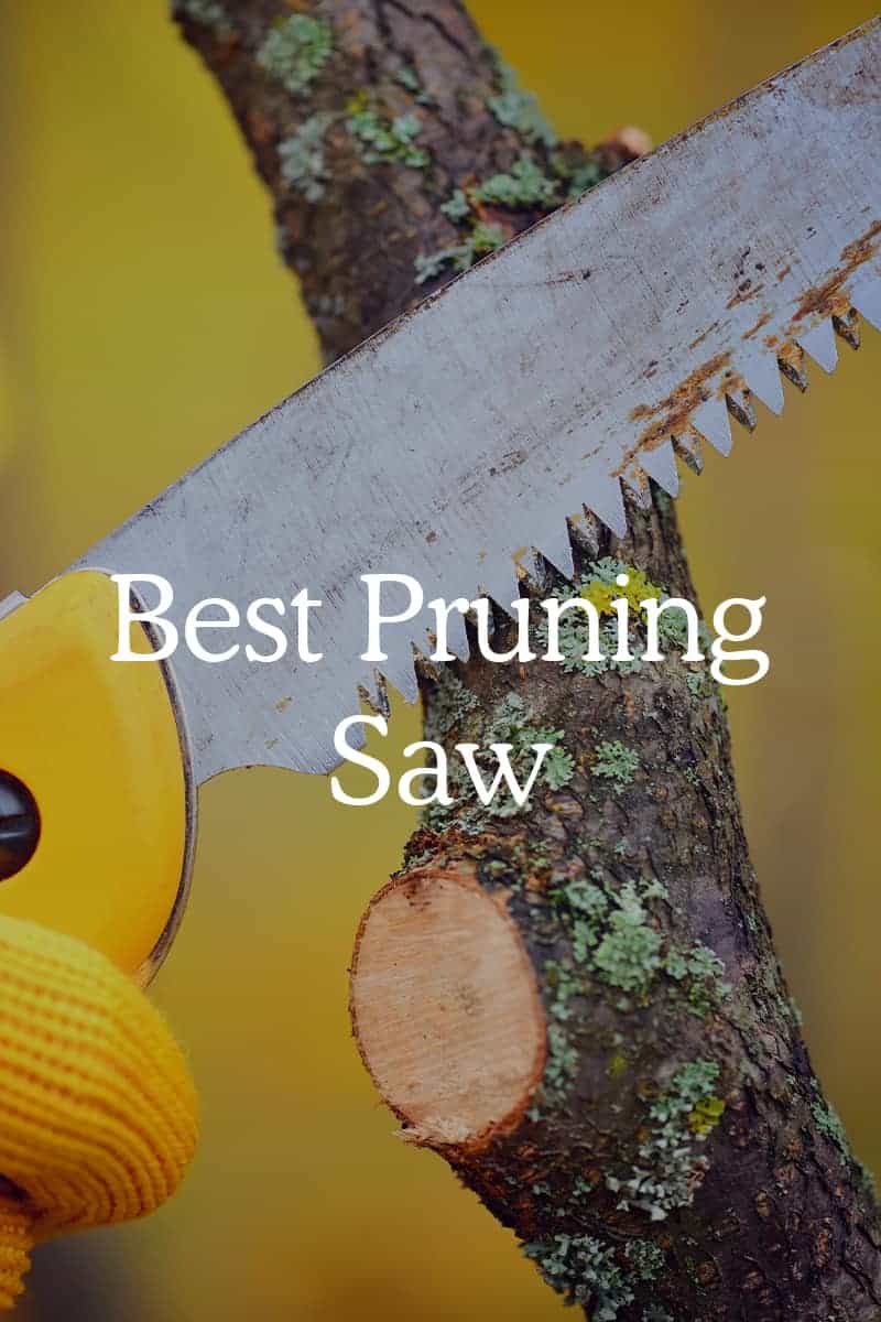 Best Pruning Saw in 2022 (Reviews and Comparison) - Fresh Exchange