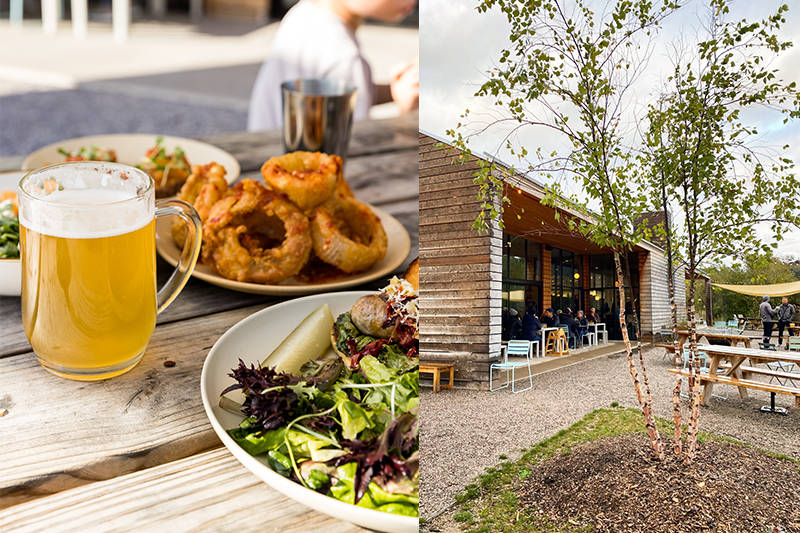 Best Breweries in Traverse City in 2021 Fresh Exchange