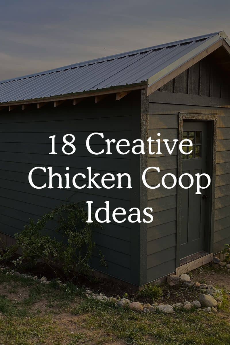 18 Incredibly Creative Chicken Coop Ideas Fresh Exchange