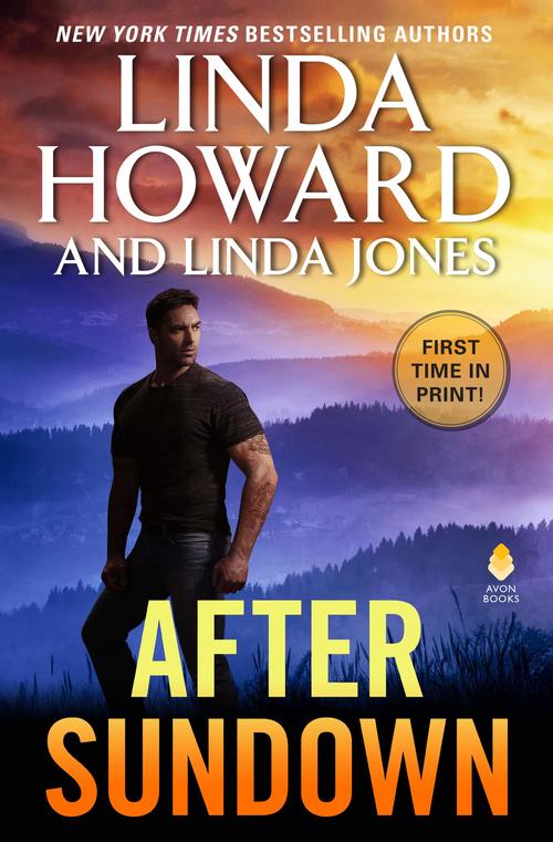 AFTER SUNDOWN by Linda Howard