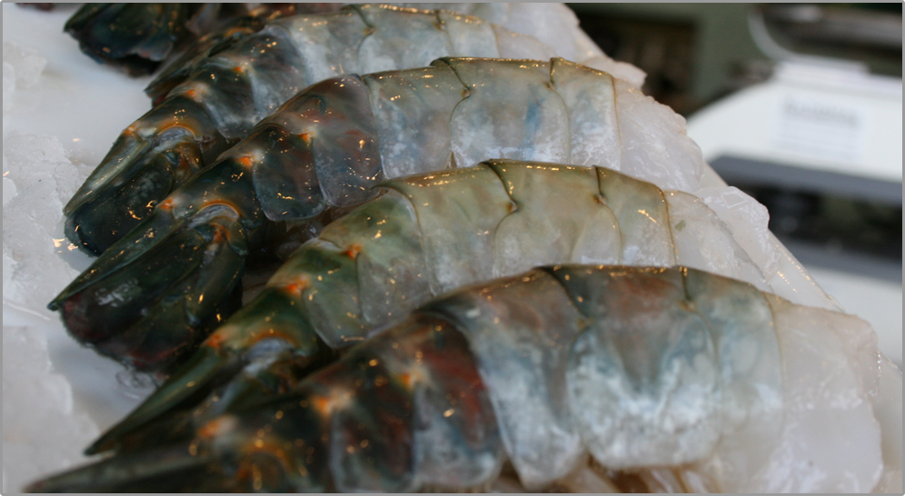 Prawns Fresh Fish House Michigan » Blog Archive