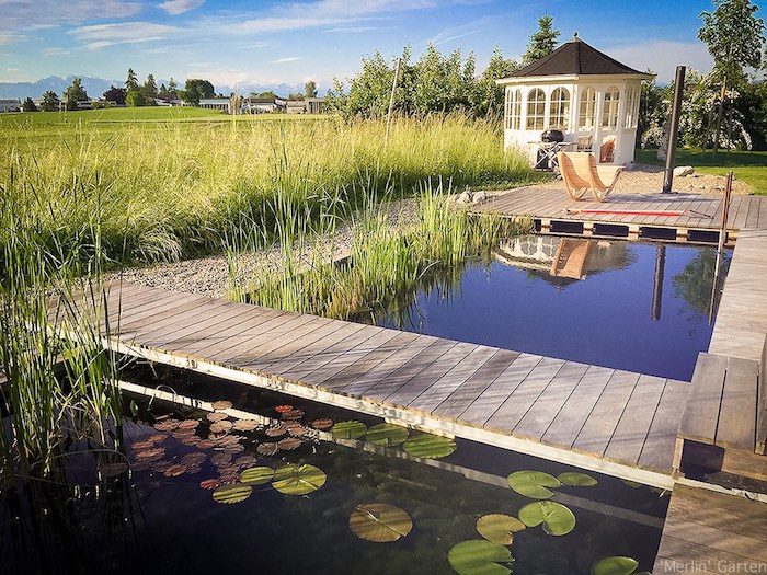 Schwimmteich im eigenen Garten Vorteile, Einrichtungsiden