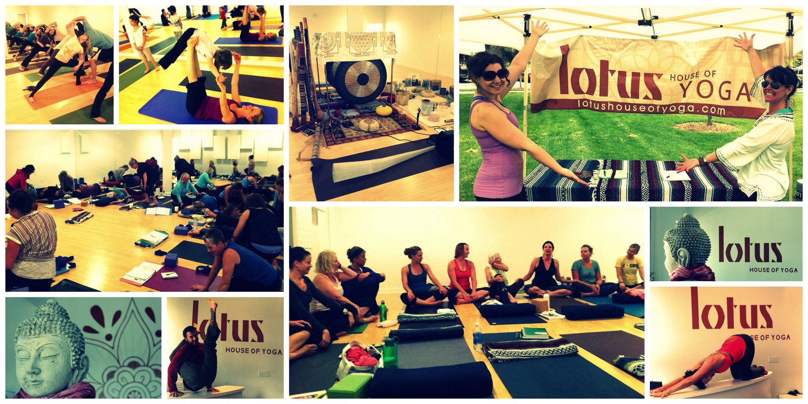 Lotus House Of Yoga Downtown YogaWalls