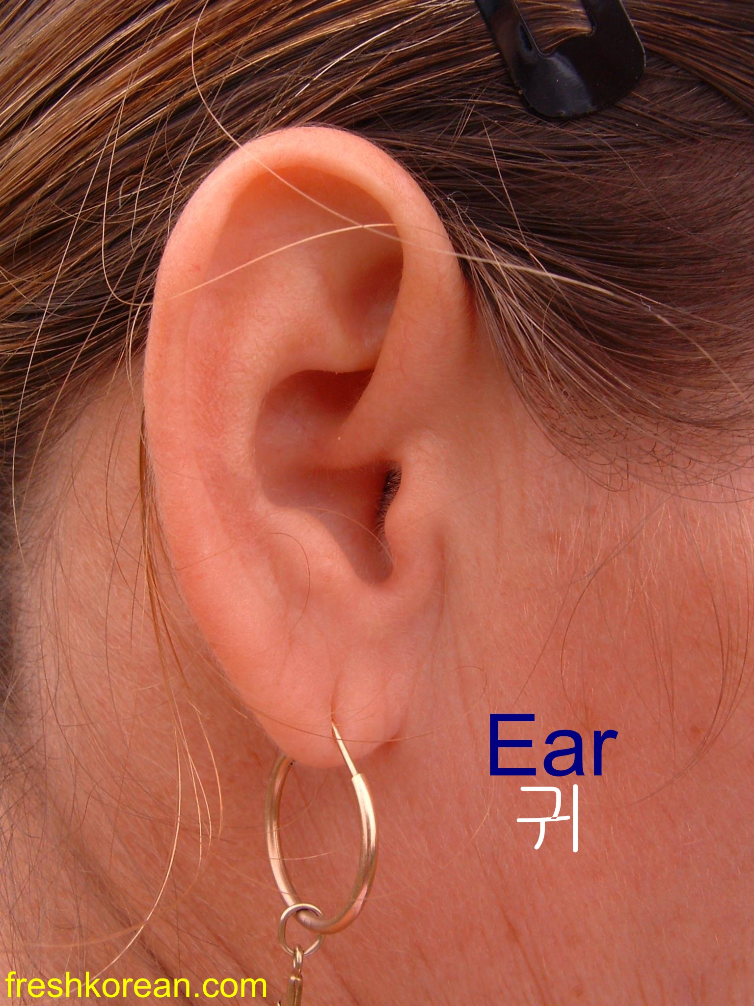 July 2012 Fresh Korean