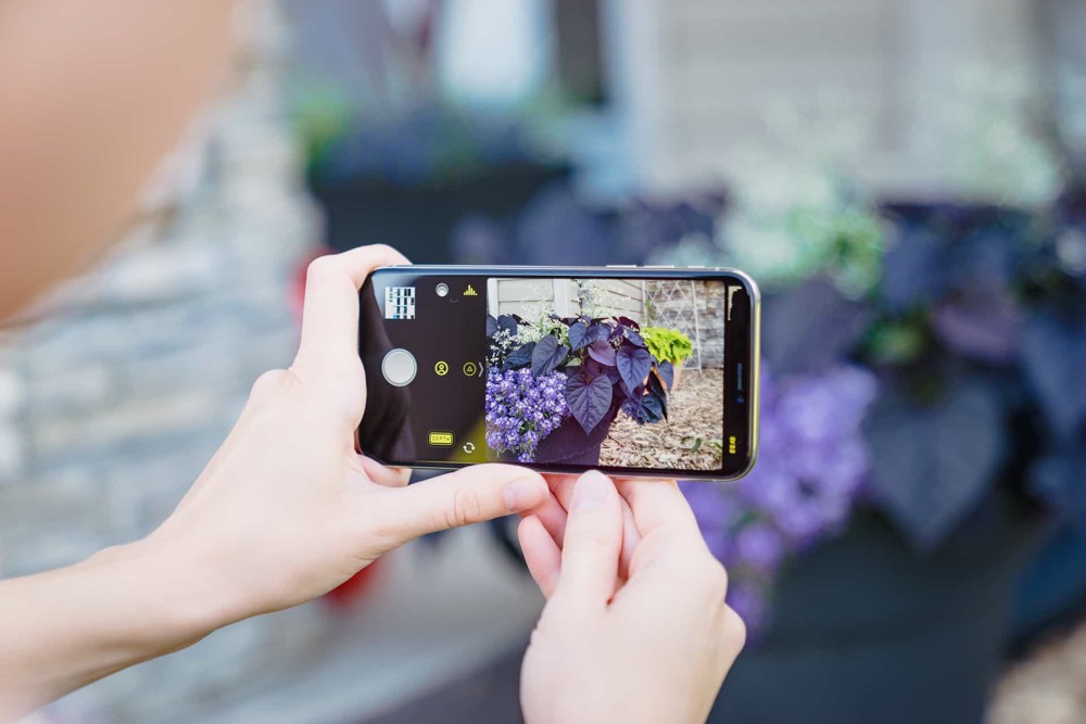 Photography and Android 5 alternative camera apps Fresh Look App