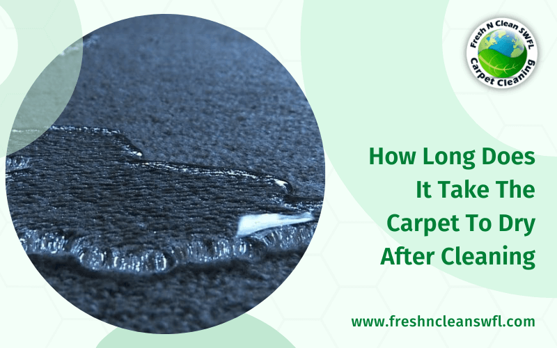 How Long Does It Take The Carpet To Dry After Cleaning Fresh N Clean SWFL
