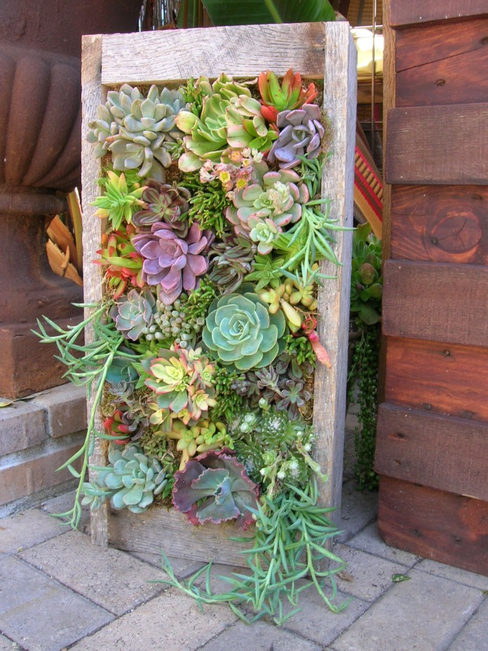 35 Succulent Gardening Ideas for Small Creative Container