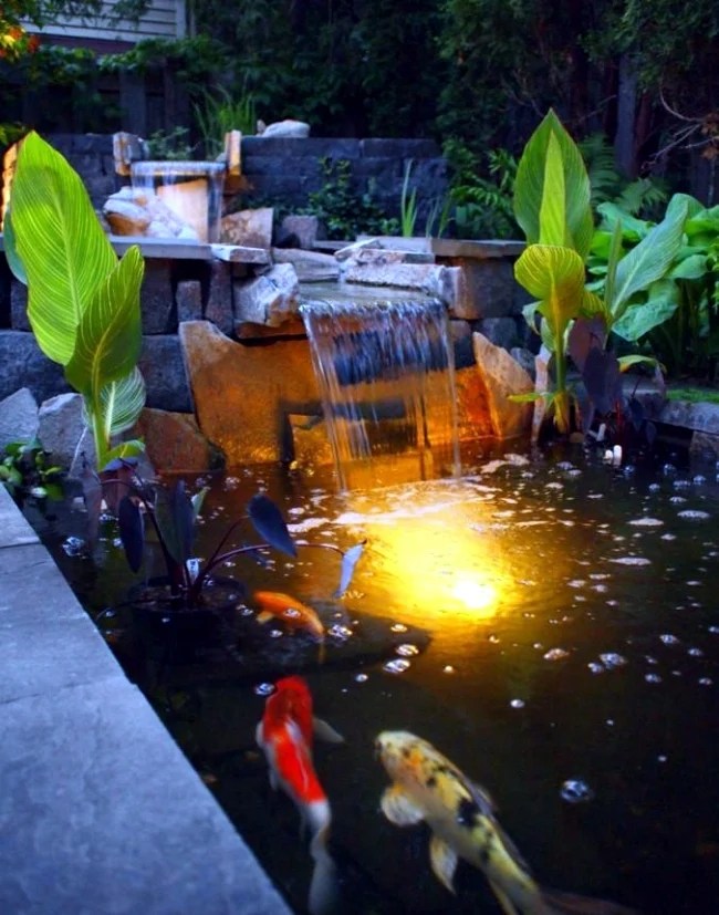 Water Garden and Koi Pond Designs for the Backyard and Patio