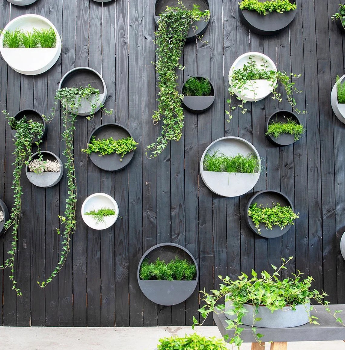 16 Garden Wall Ideas to Enhance Your Home