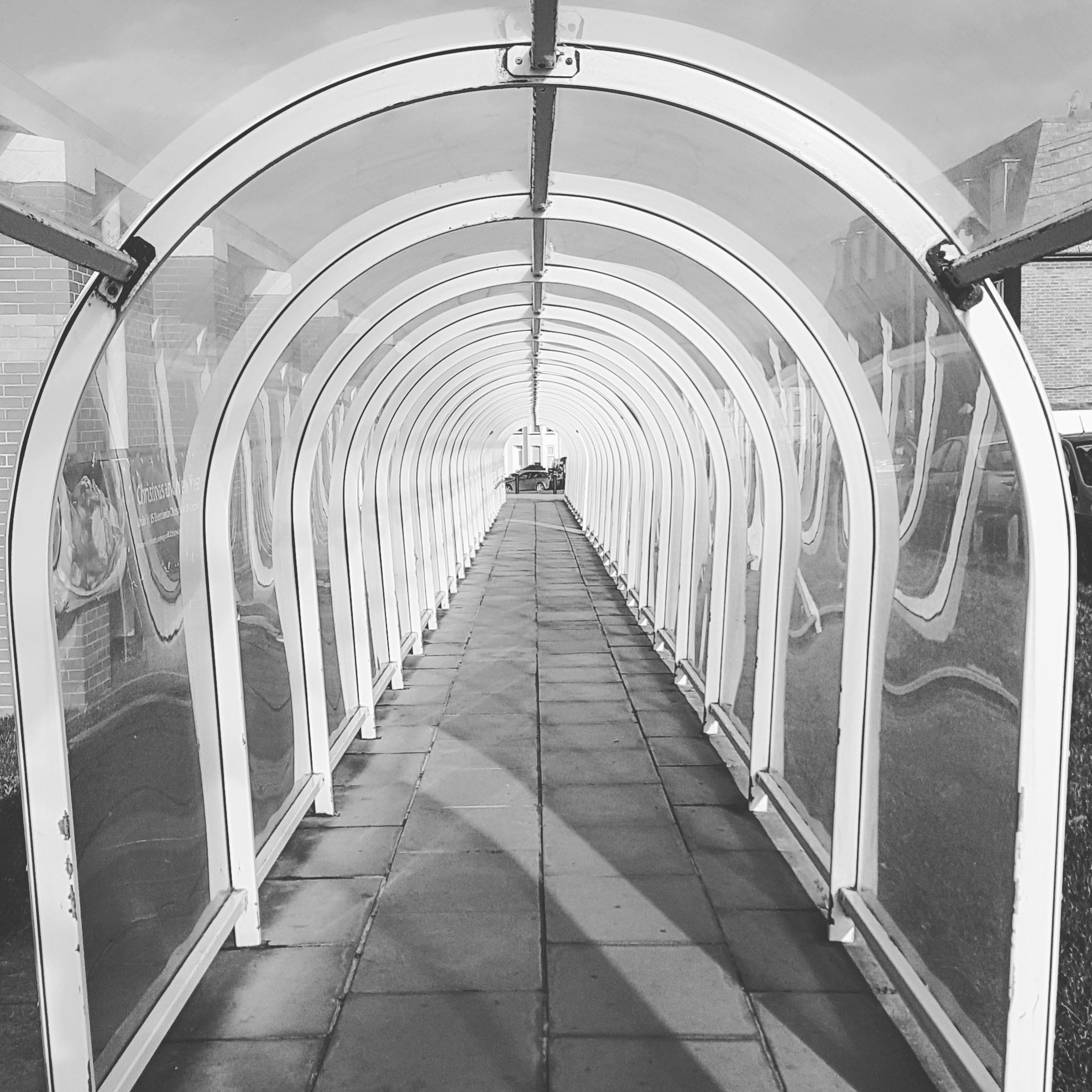 This Plastic Tunnel In The UK Is A HighlyRated Tourist Attraction