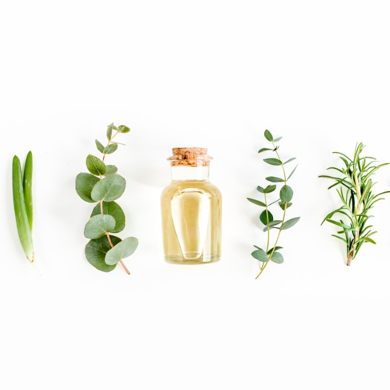 Eucalyptus Mint Fresh Scents