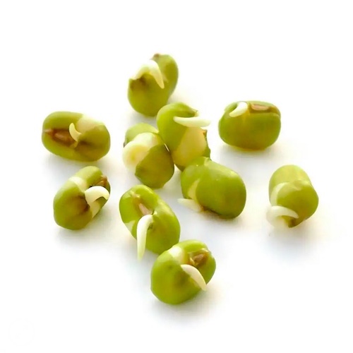 14+ Chart Types Of Sprouts - NatashaTeegin
