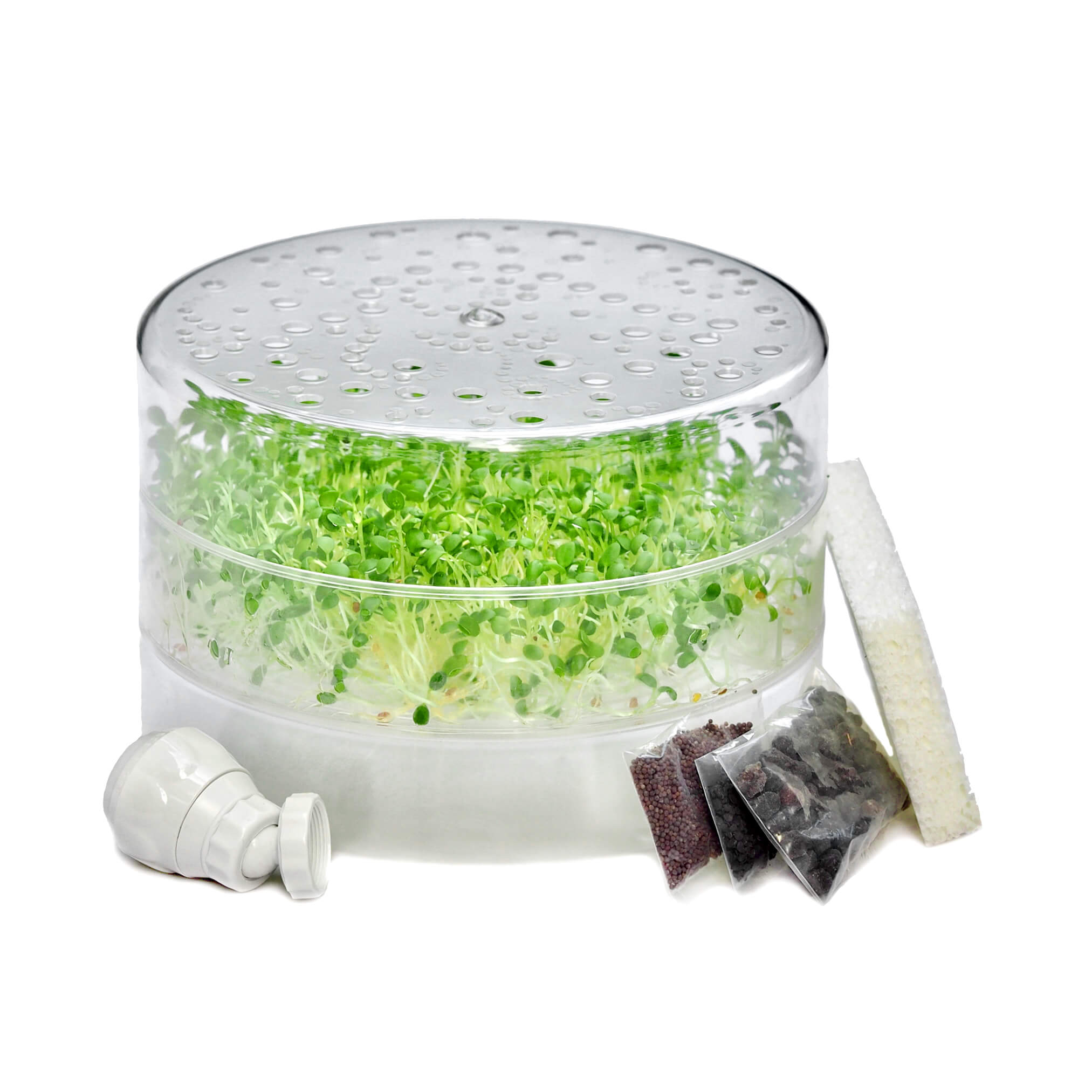 Start kits and grow kits to grow Sprouts and Microgreens in your kitchen.