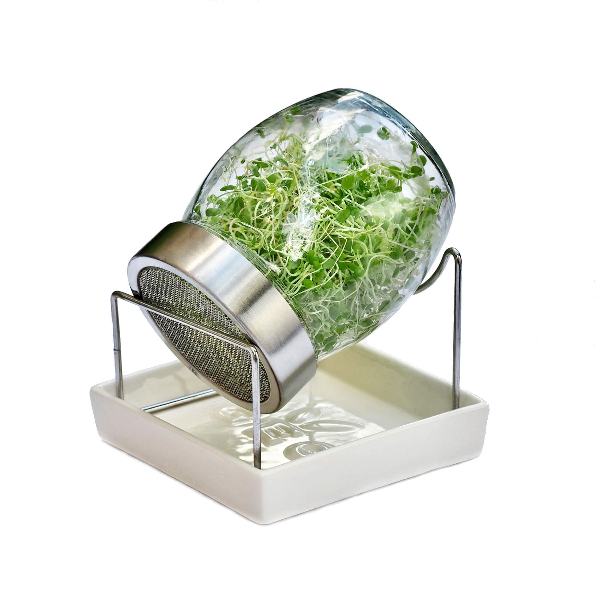 Sprout Jar Kit with organic Sprouting Seeds + bio cleaning Sponge