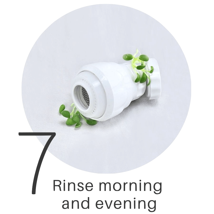 How to grow sprouts and microgreens all year in any climate.