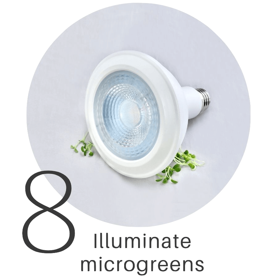 How to grow sprouts and microgreens all year in any climate.