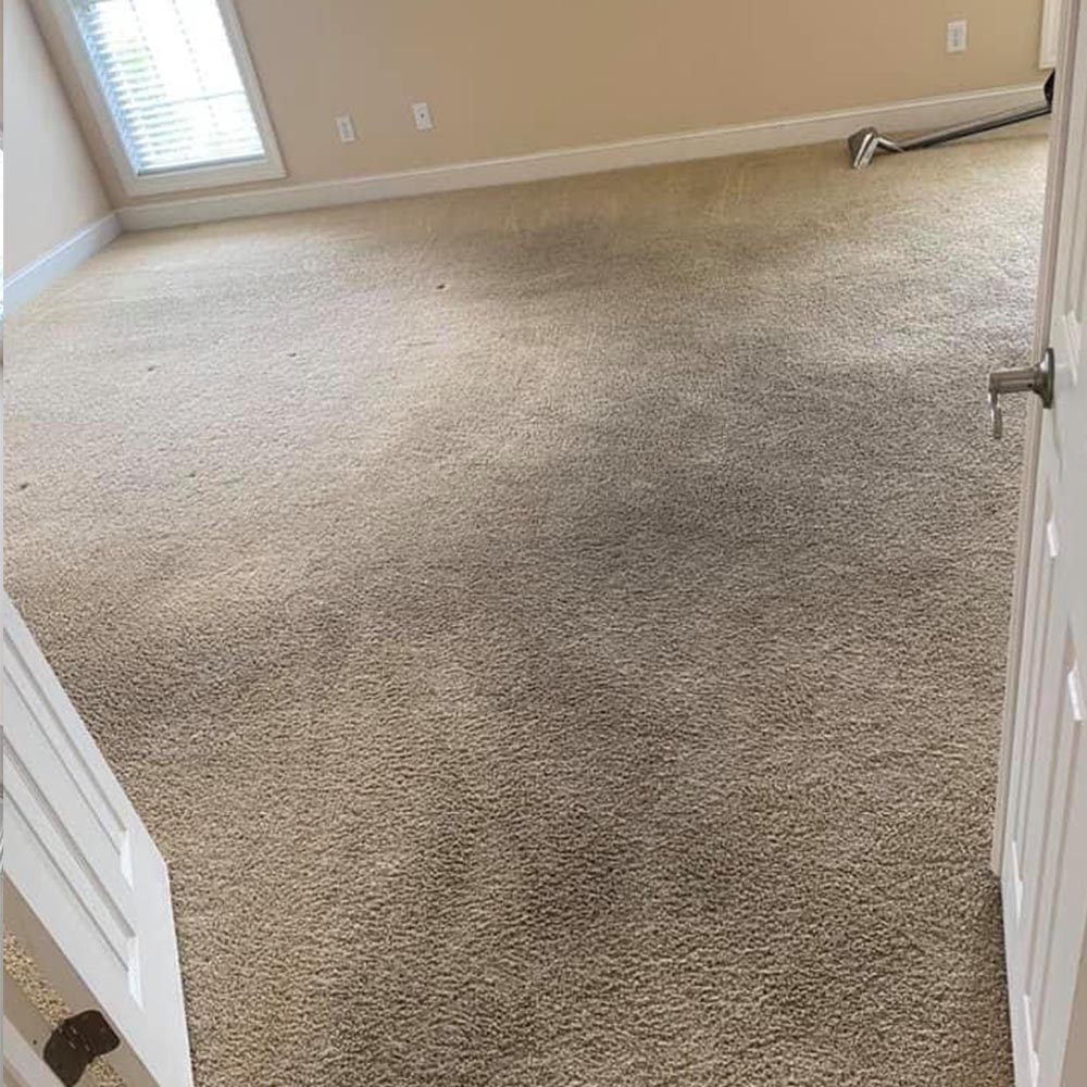 FreshStart Carpet & Floor Care