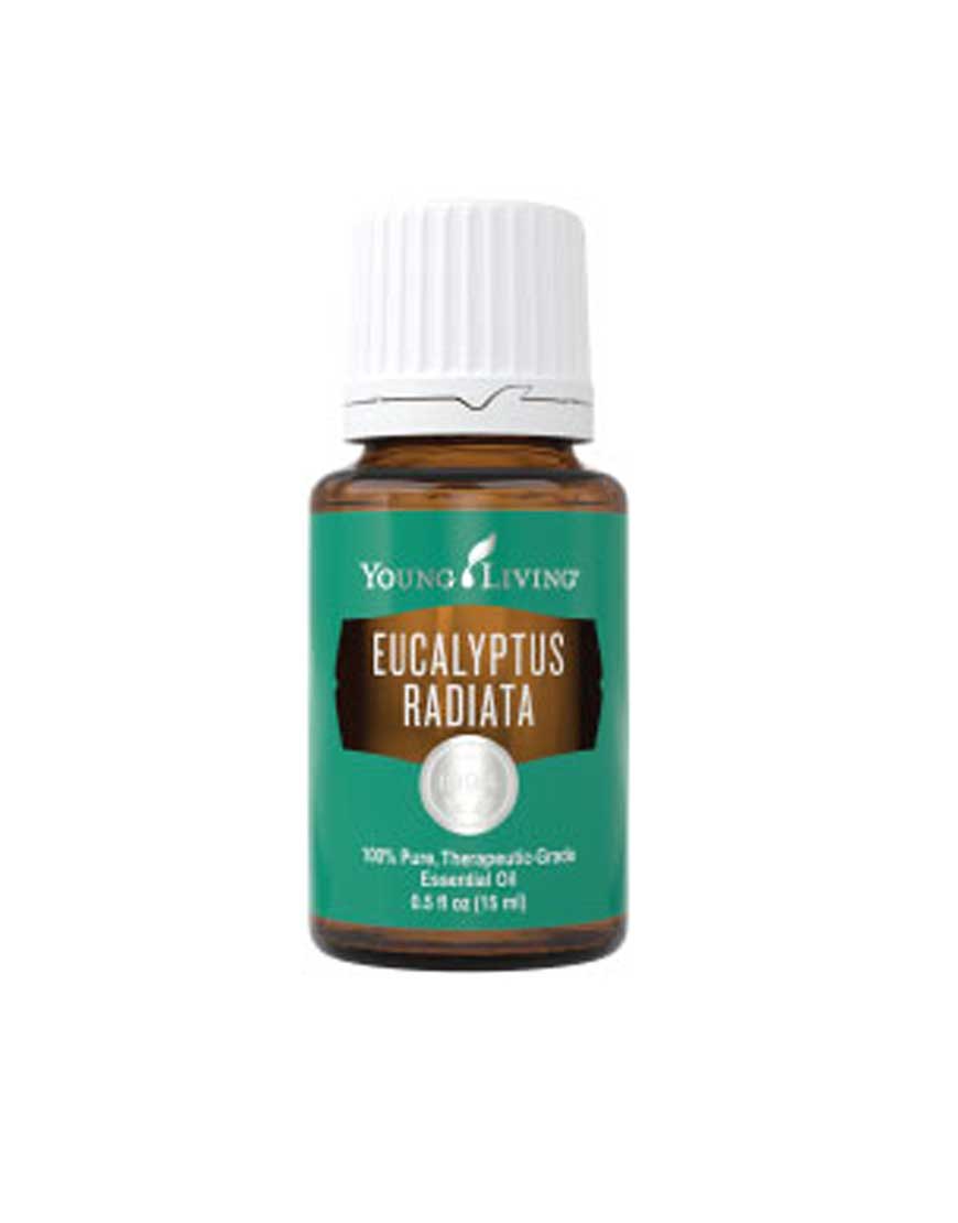 Young Living Eucalyptus Radiata Essential Oil Fresh Start Nutrition