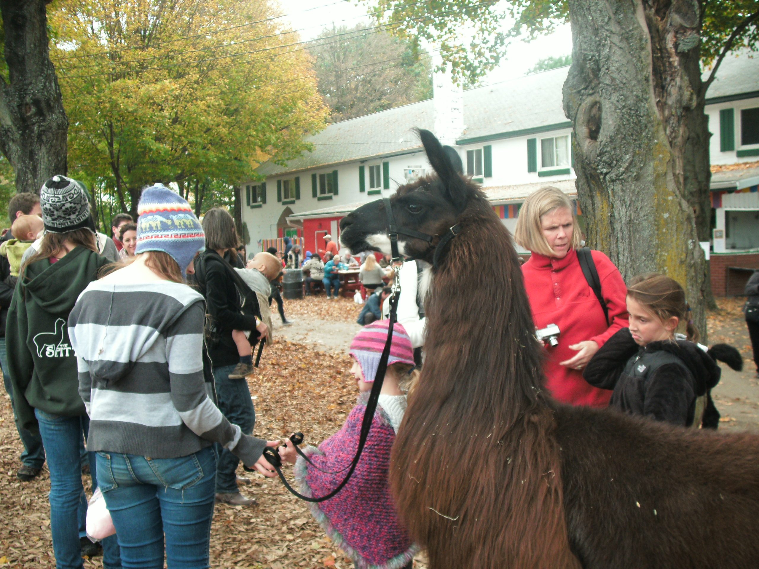 rhinebeck ny sheep and wool festival 2023 New York Sheep & Wool Festival (Rhinebeck) FreshStitches