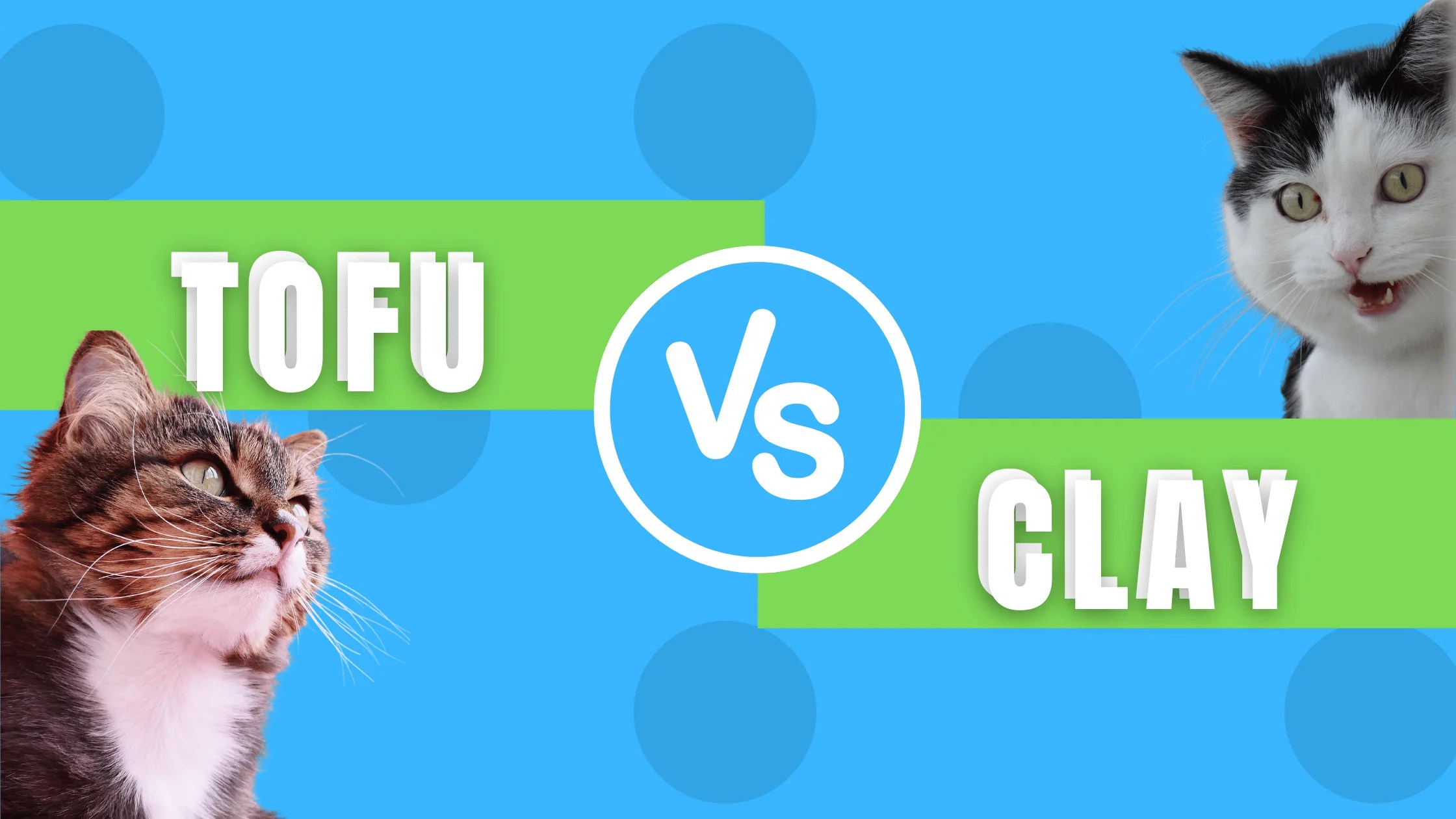 Tofu and Clay Cat Litter Comparison FreshWhisker