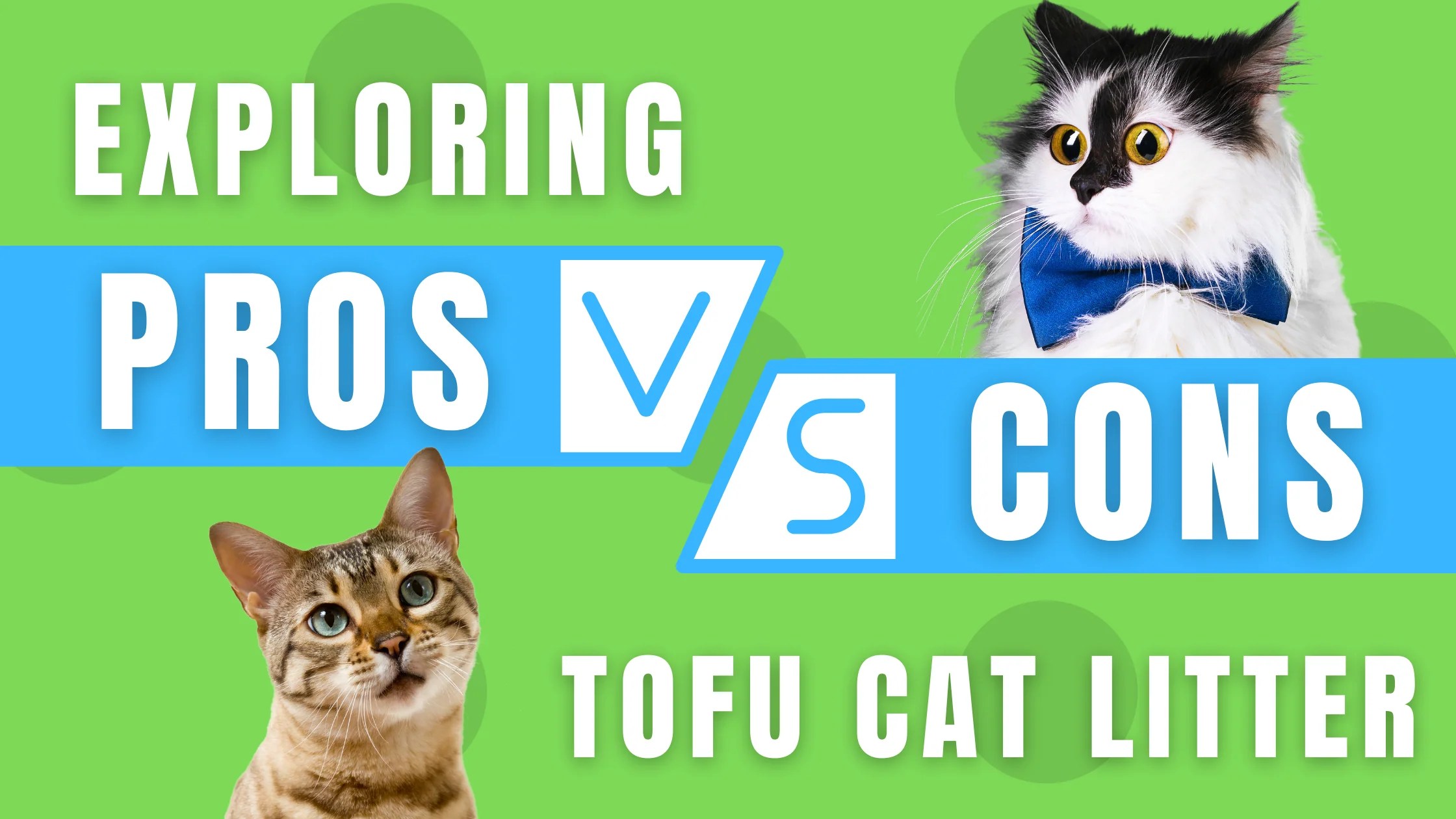 Is Tofu Litter Good for Cats? Exploring the Pros and Cons FreshWhisker