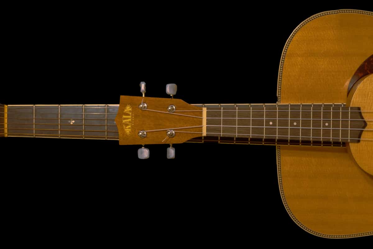 9 Reasons Ukulele is EASIER Than Guitar (For Beginners)