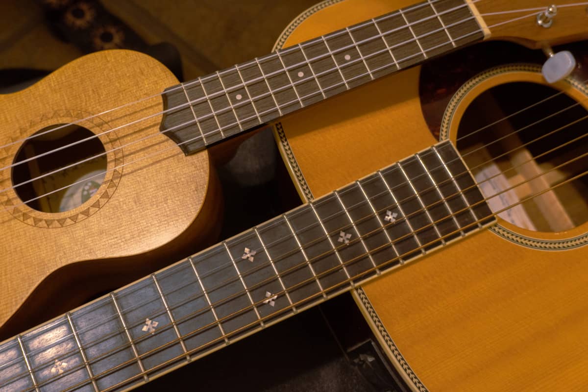 9 Reasons Ukulele is EASIER Than Guitar (For Beginners)
