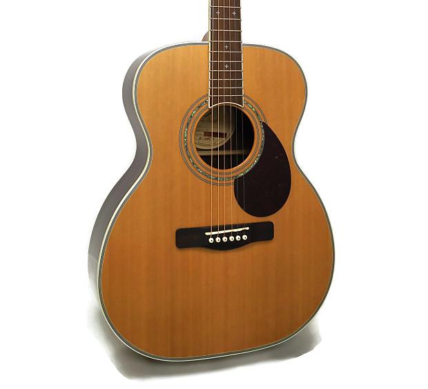 InDepth Look at Greg Acoustic Guitar Reviews, Prices and