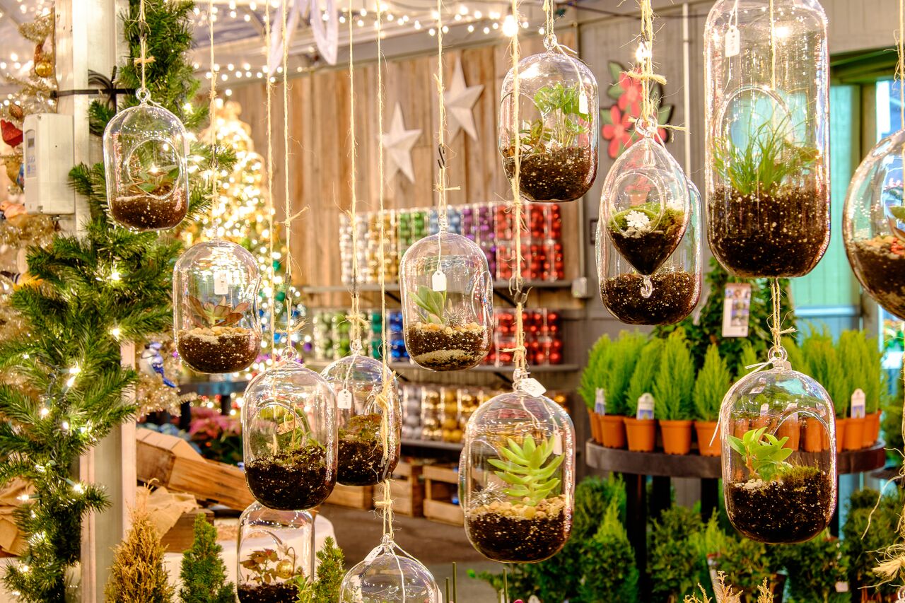 Christmas Trees and Decor at Frey's Greenhouse in Lancaster, PA and