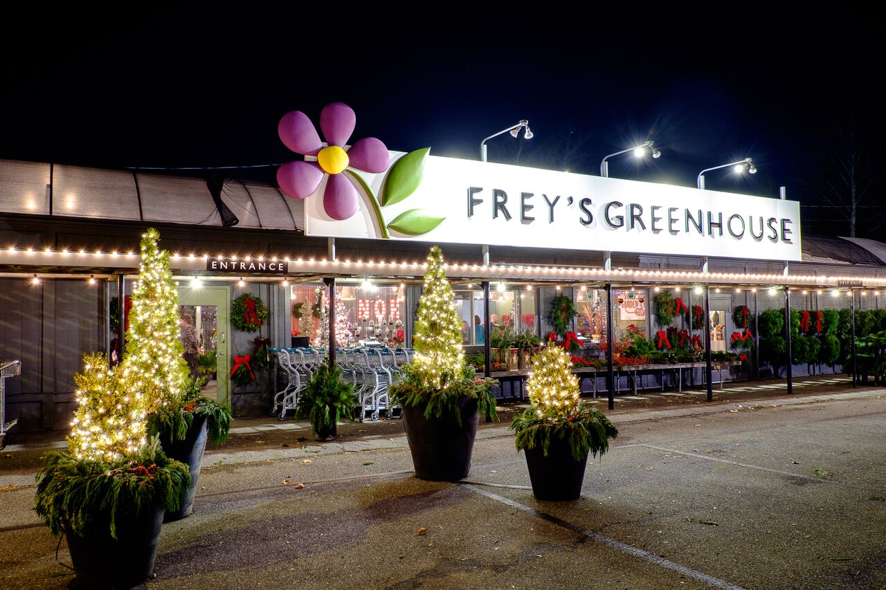 Christmas Trees and Decor at Frey's Greenhouse in Lancaster, PA and