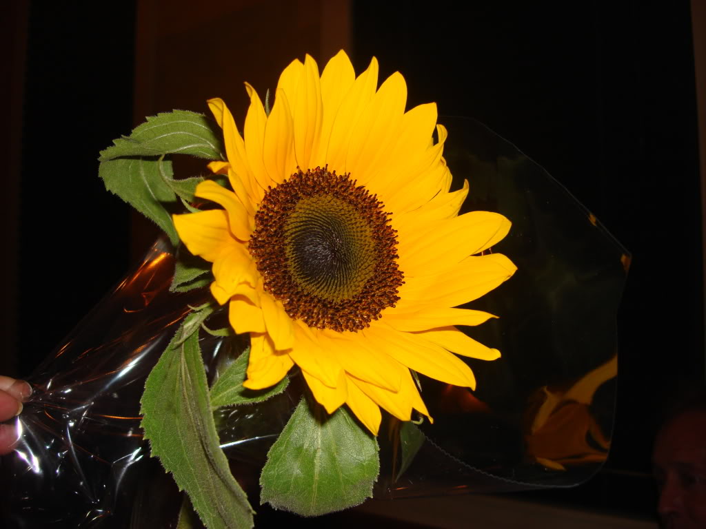 Psalm 69 The sunflower prayer frfrankdrzaicdailypsalmverse