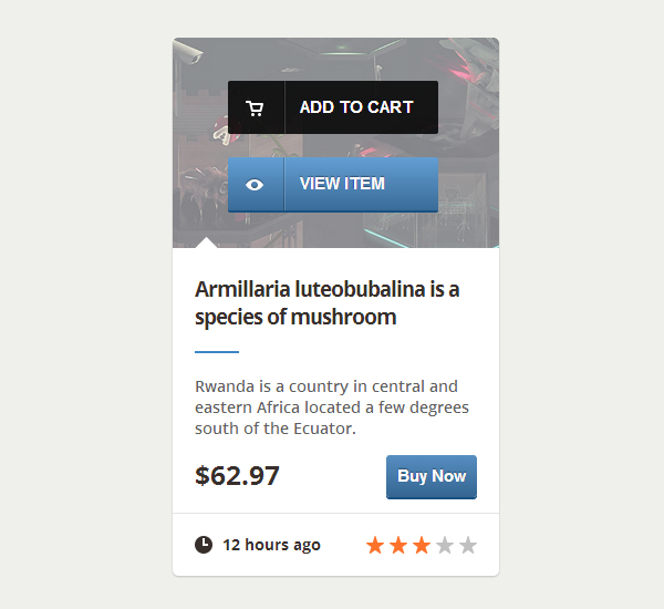 Create an E-Commerce Web Element with CSS3 - - Fribly