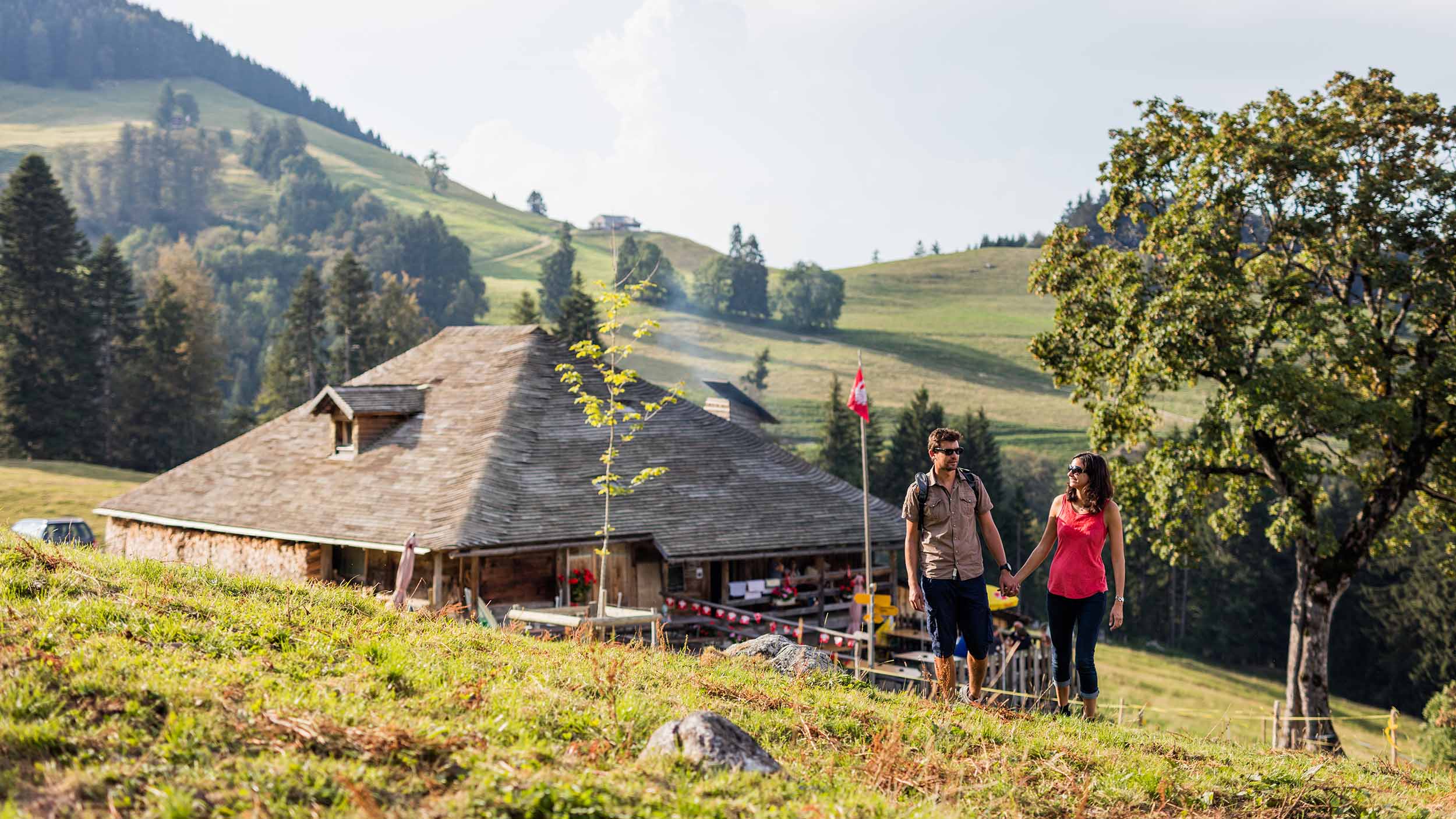 Buvettes d'alpage en Gruyère