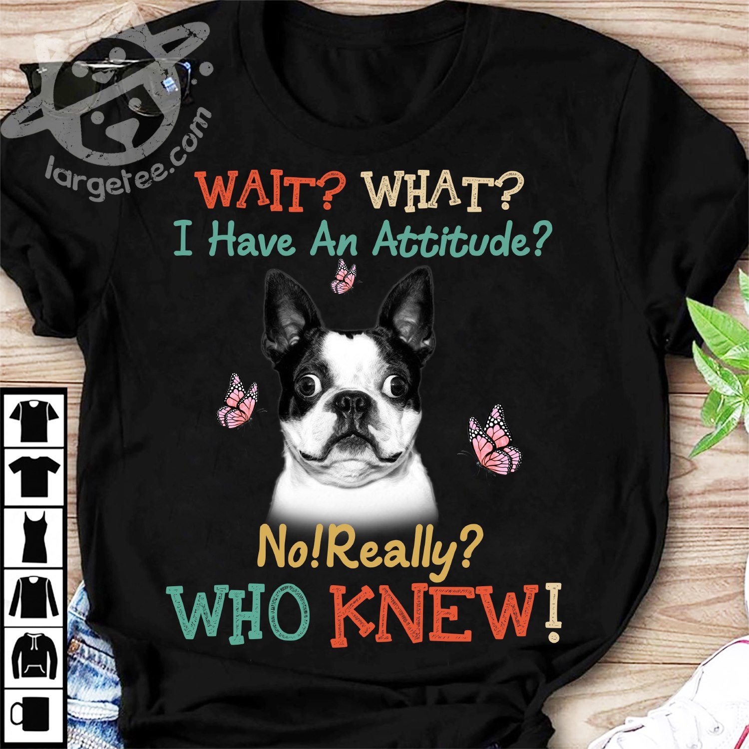 +37 Boston Terrier Knowledge Poster