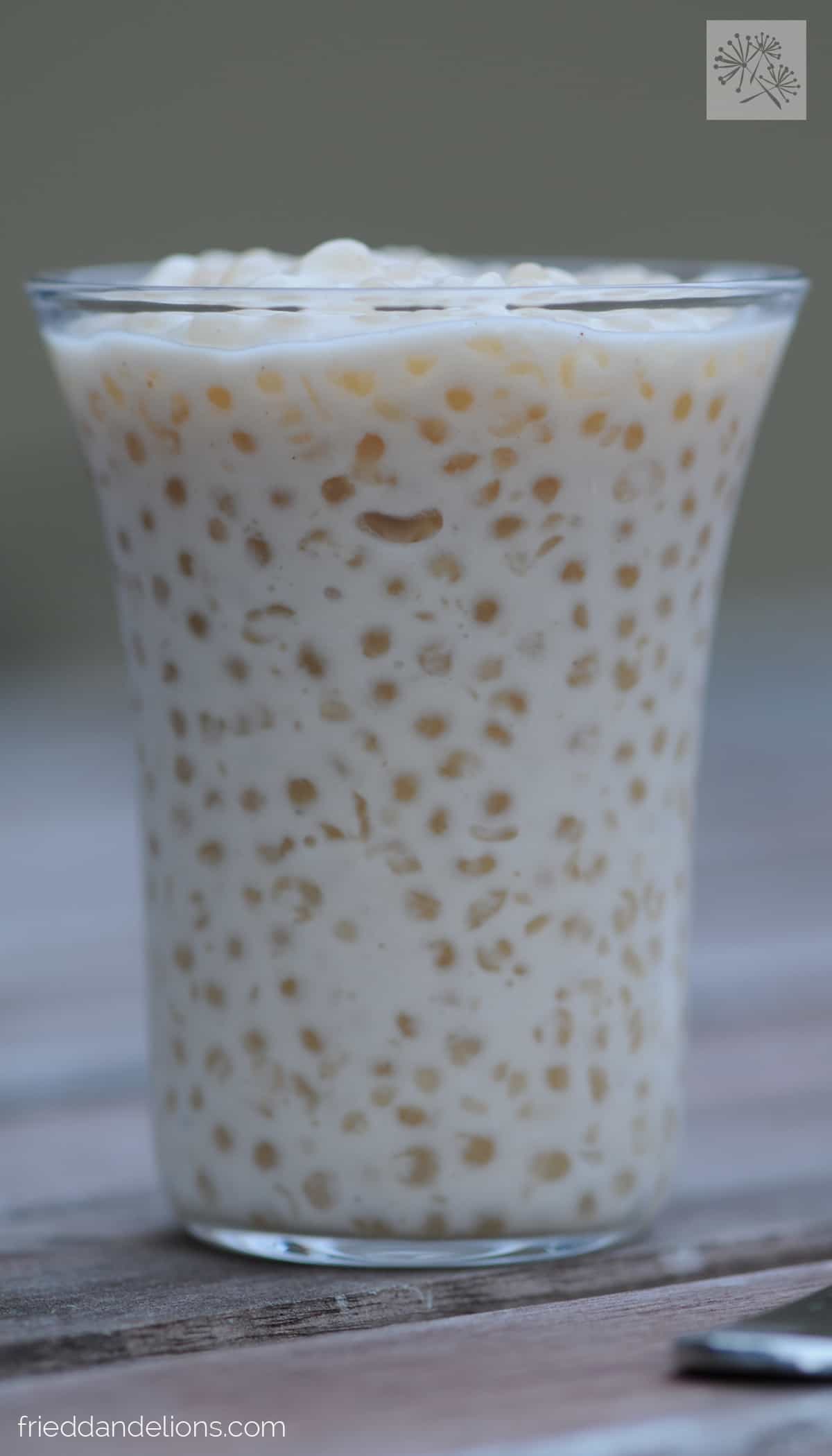 Coconut Tapioca Pudding Fried Dandelions
