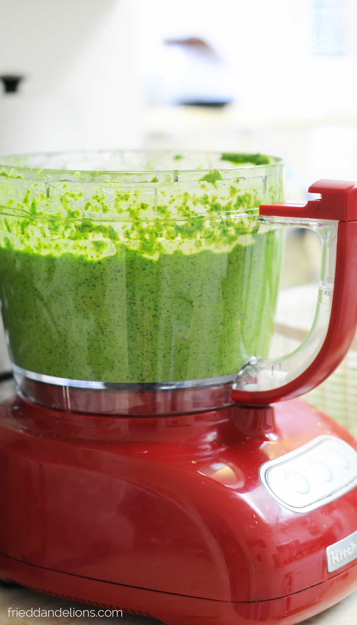 Garlic Scape Pesto — Fried Dandelions — Plant Based Recipes