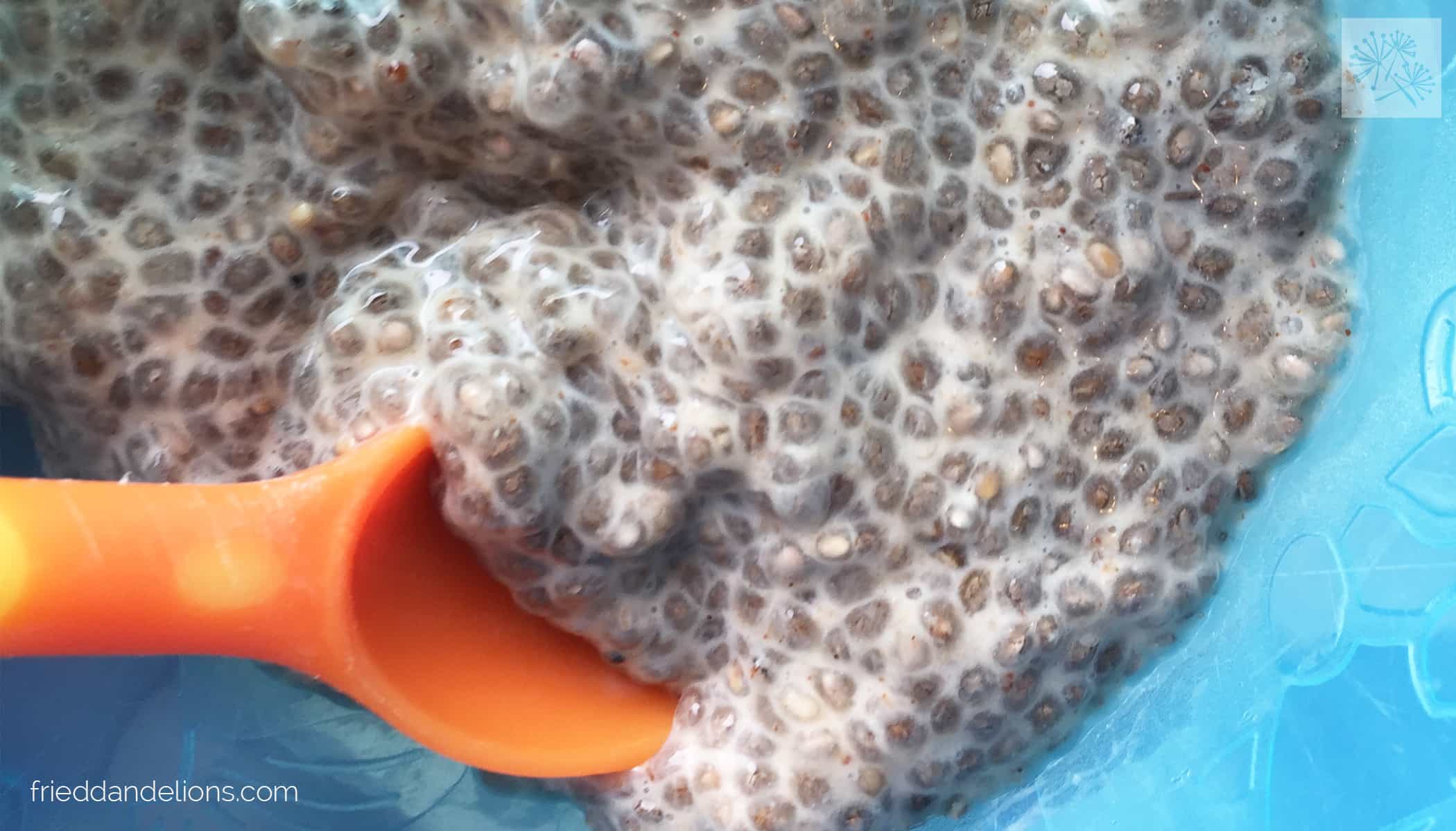 Baby Chia Pudding — Fried Dandelions — Plant Based Recipes