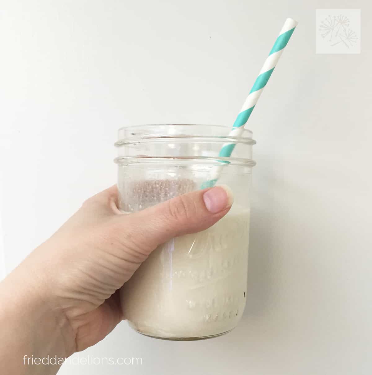 Coconut Hemp Milk — Fried Dandelions — Plant Based Recipes