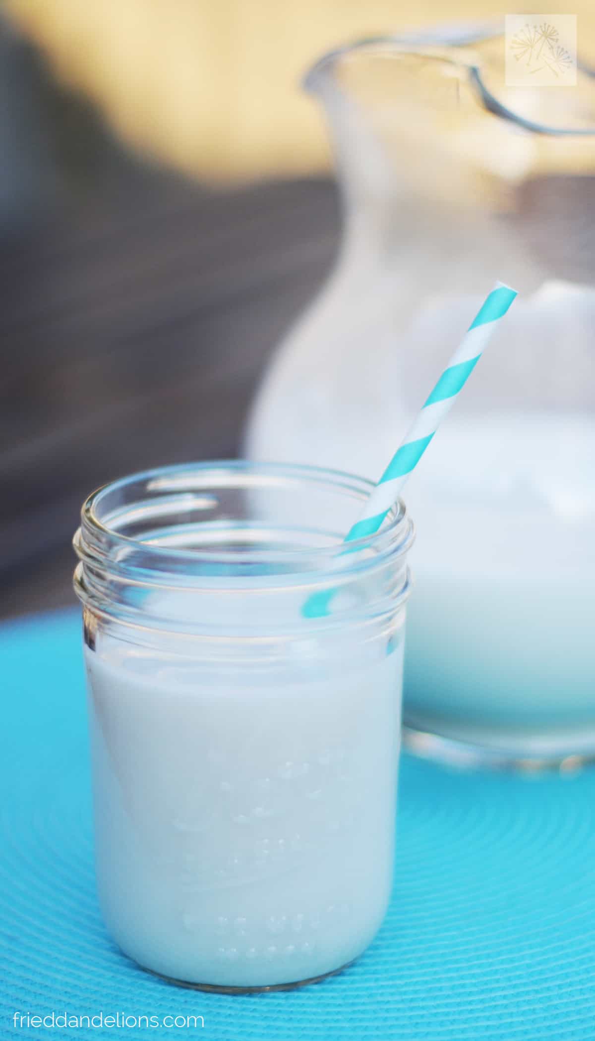 Coconut Hemp Milk — Fried Dandelions — Plant Based Recipes