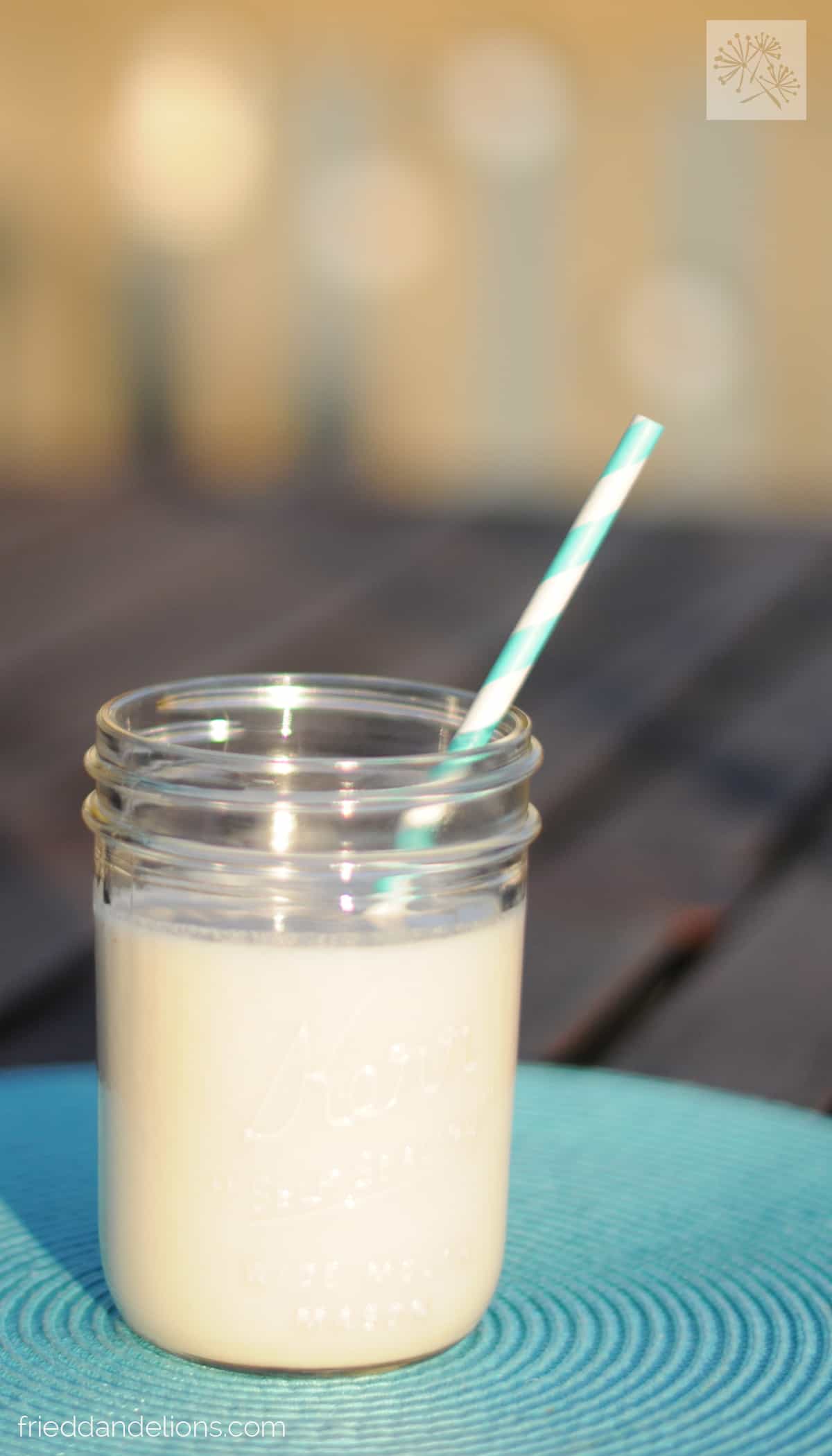 Coconut Hemp Milk — Fried Dandelions — Plant Based Recipes