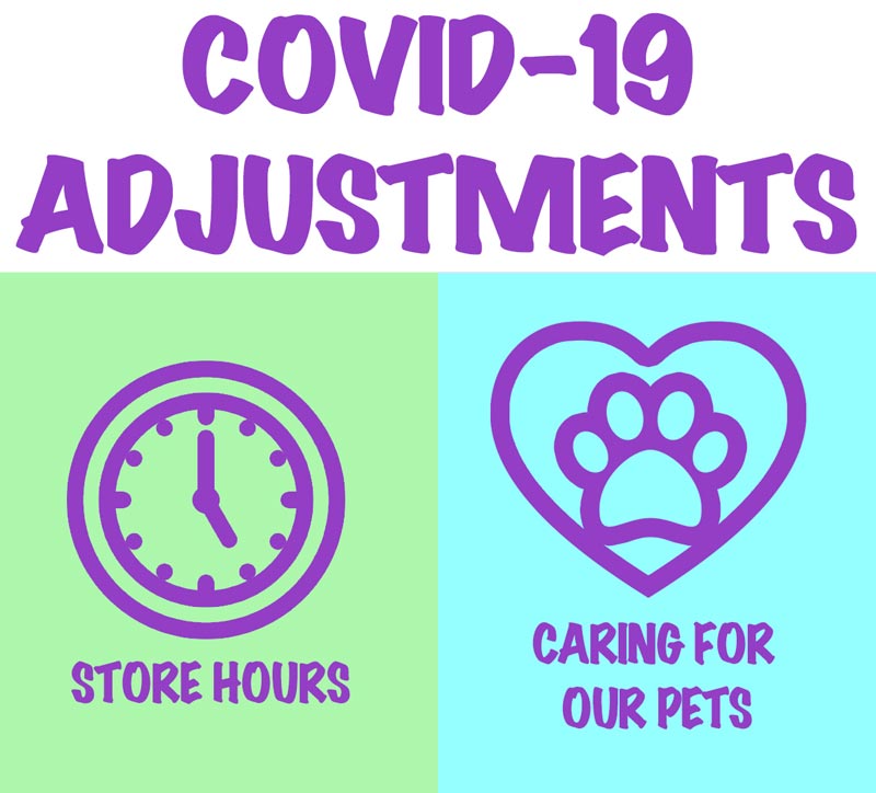 Friendly Pets at Friendly Center, Greensboro NC