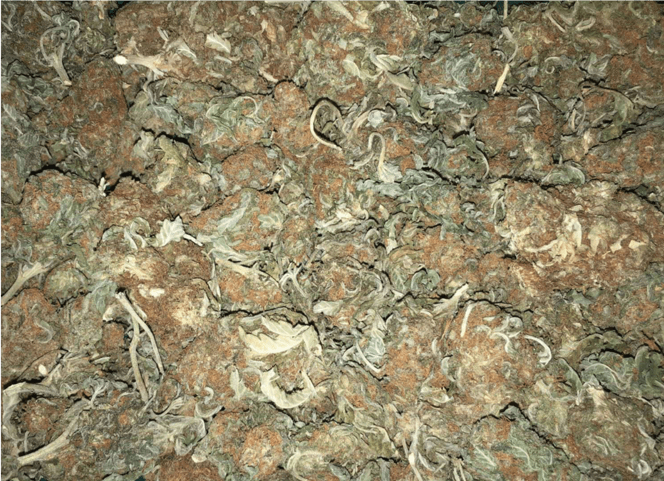 PGR The Toxic Chemicals in Your Marijuana Friendly