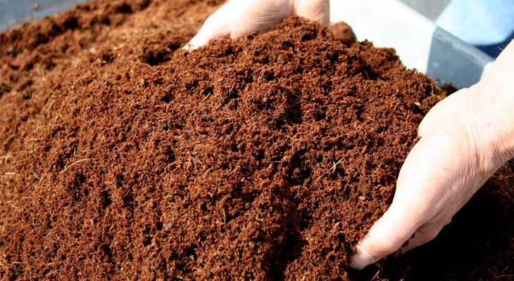 Indoor Grow Guide Soil Friendly Aussie Buds Growing