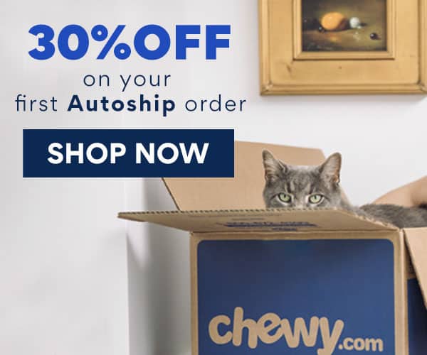 5 Best Low Dust Cat Litters (2022) Keep Kitty Safe and the Home Clean